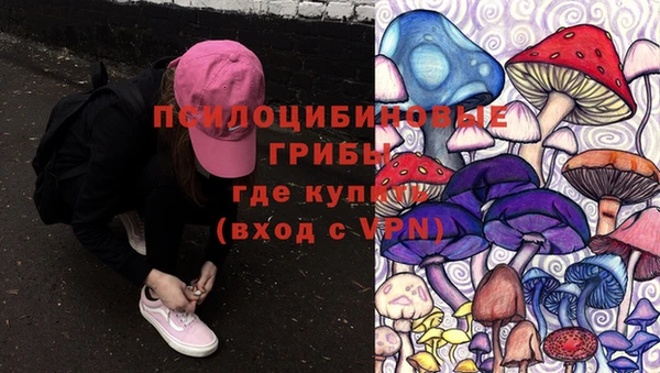 a pvp Аркадак