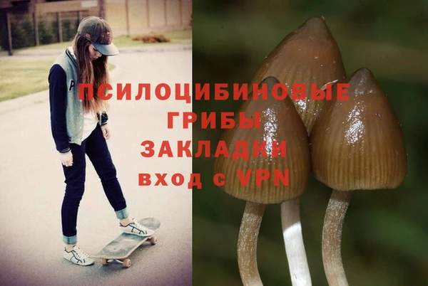 МДПВ Армянск