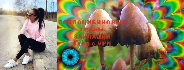 мдпв Арсеньев
