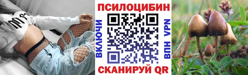 Псилоцибиновые грибы мицелий  Урюпинск 